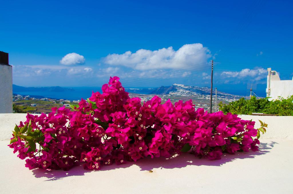 Chrisanthi Villa Pýrgos Pokoj fotografie